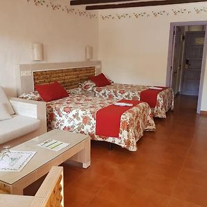 Habitación con Cama King